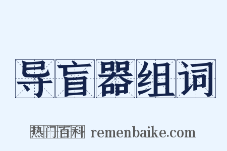 导盲器组词是什么意思的图片